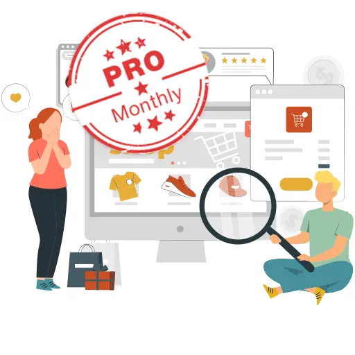 Ecommerce SEO - Pro package